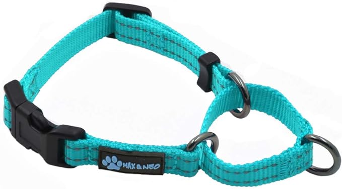 Max and Neo Nylon Martingale Collar - We Donate to a Dog Rescue for Every Collar Sold (X-Small, Teal)