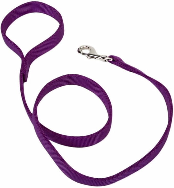 Coastal Pet Double-Ply Dog Leash - Bolt Snap Attachment to Collars and Harnesses - Nylon Dog Walking Leash for Small, Medium and Large Dogs - Purple - 1" x 6'