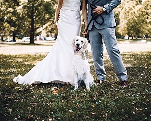 Unique style paws Silk Champagne Color Dog Collar Adjustable Durable Dog Collar with Bow Wedding Bow tie Dog Collar for Large Dogs
