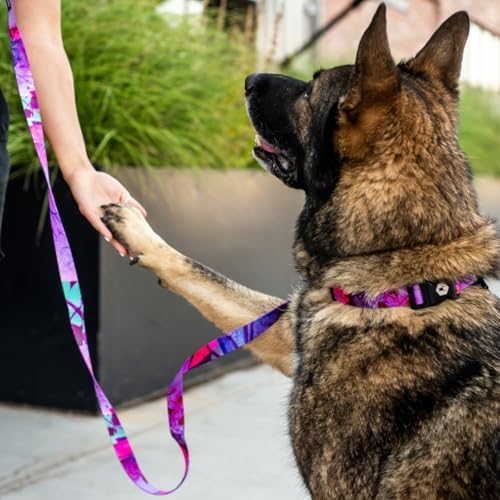Wolfgang Heavy Duty, Adjustable Dog Collar with Quick Release Nylon Buckle for Walking & Training, Daydream Print, Large