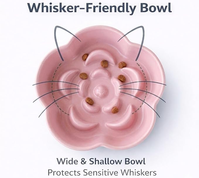 Elevated Ceramic Slow Feeder Cat Bowl, 15° Tilted Feeding Dish Helps Reduce Fast Eating and Vomiting, Whisker-Friendly Heavy Smooth Matte Ceramic, Dishwasher Safe (Blue/Pink)