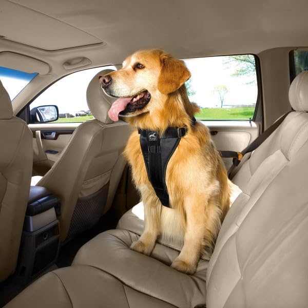 Kurgo Enhanced Strength Tru-Fit Dog Car Harness - Pet Travel Safety Harness - Crash Test Certified Fit - Five Point Adjustment - Secure Buckle - Padded Chest - Black - Large