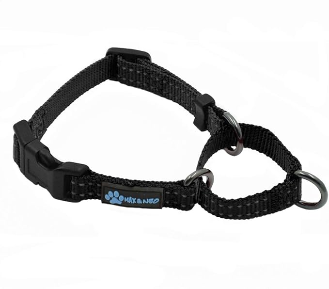 Max and Neo Nylon Martingale Collar - We Donate to a Dog Rescue for Every Collar Sold (X-Small, Black)