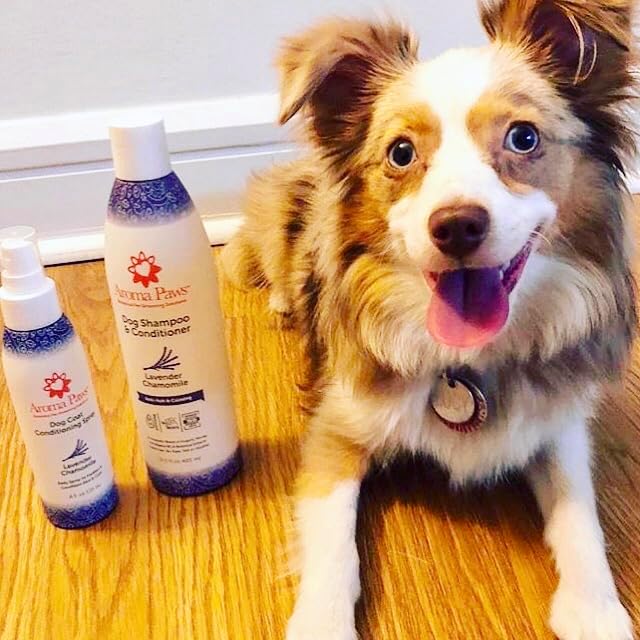 Dog Shampoo and Conditioner - Aromatic Tearless Shampoo for Cleansing, Grooming, and Conditioning - Moisturizing Shampoo for Dogs and Puppies - Lavender Chamomile 13.5 oz