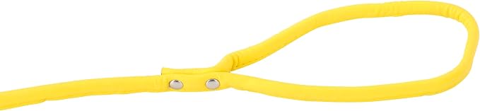 Yellow Soft Leather Dog Leash for Small,Medium Dog Walking, Comfortable Leather Handle, 4 ft Yellow