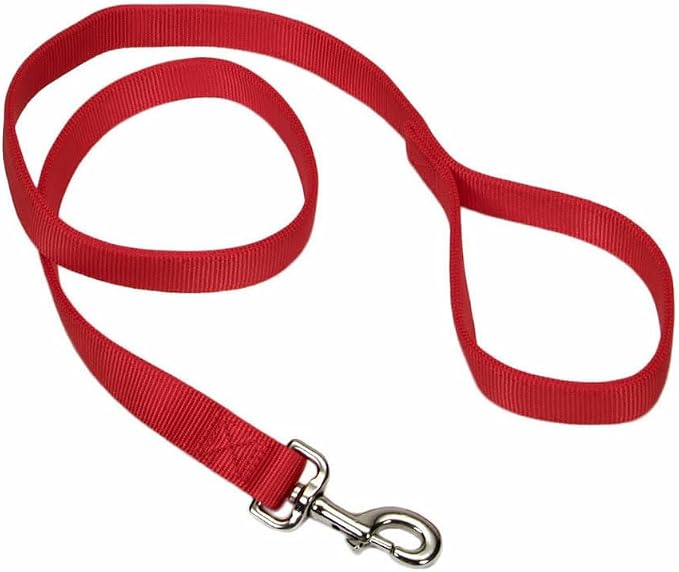Coastal Pet Double-Ply Dog Leash - Bolt Snap Attachment to Collars and Harnesses - Nylon Dog Walking Leash for Small, Medium and Large Dogs - Red - 1" x 6'