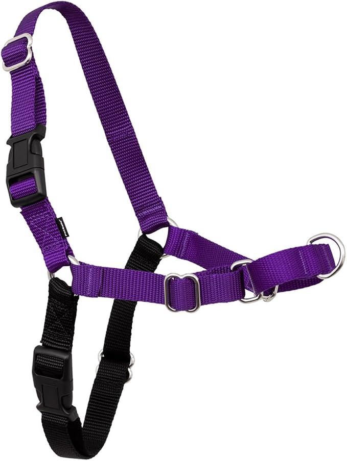 PetSafe Easy Walk No-Pull Dog Harness - Ultimate Harness to Help Stop Pulling - Pull-Free Walks - Take Control & Teach Better Leash Manners - Patented Martingale Loop Design - Black, Medium/Large