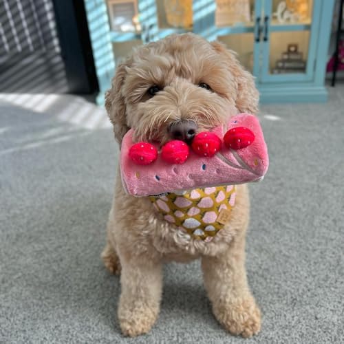 CHEWFFON Dog Birthday Cake Toy - Interactive Snuffle Roll Cake Puzzle for Enrichment, Squeaky & Crinkle Puppy Gift for Boredom & Mental Stimulation, Indoor Brain Game for Small Medium Dogs