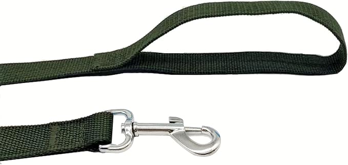 TAIAN 4FT/5FT/6FT Strong Dog Leash, Nylon Dog Leashes for Small Medium Large Dogs (Green, 1 in x 10 ft)