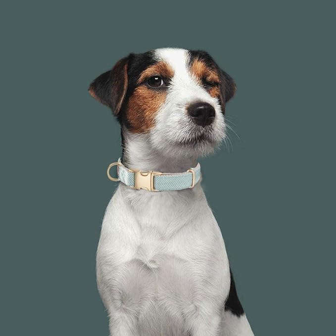 Soft Dog Collar and Leash Set Adjustable Woven Tweed Dog Collars with Metal Buckle and Lead for Small Medium Large Dogs,Blue