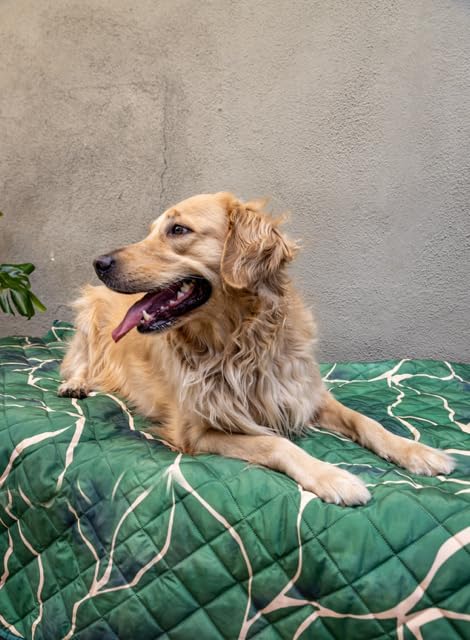 Waterproof Blanket, 60”x70” - Large Couch Cover for Dogs and Pets - Ideal for Picnics, Outdoor, Camping, Beach and More - Large, Washable Protector