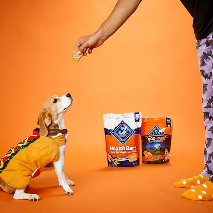 Blue Buffalo Health Bars Pumpkin & Cinnamon Crunchy Dog Biscuits, Oven-Baked with Pumpkin & Natural Ingredients, Healthy Dog Treats with No Artificial Flavors or Preservatives, 16 oz.