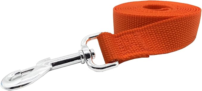 Nylon Dog Training Leash, Traction Rope, 4/5/6 Feet Long, 3/4 Inch 1 Inch Wide, for Small and Medium Dogs (1'' x 5 FT, Orange)