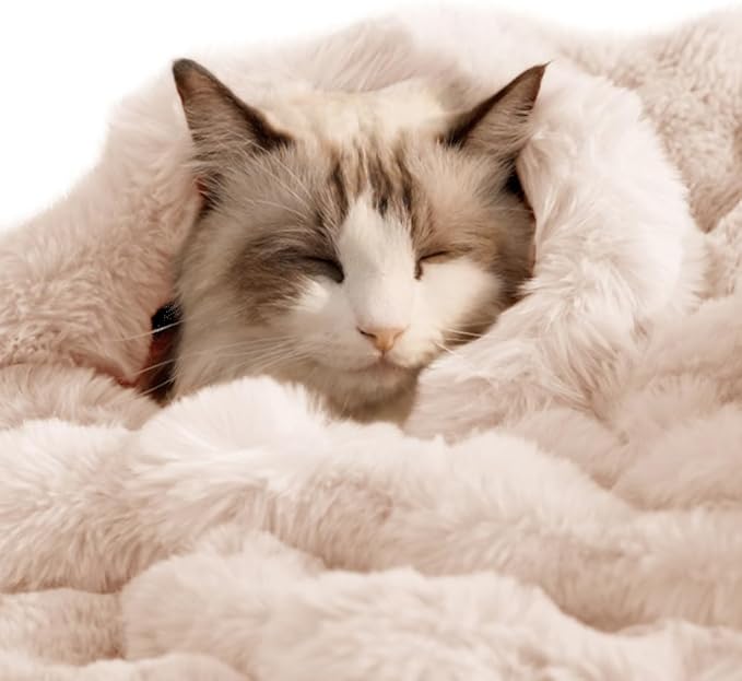 SOMAHE Pet Blanket, Reversible Sherpa & Bubble Fleece Pet Throw, Ultra-Soft Plush for Cats & Small Dogs, Machine Washable, Anti-Static, Warm & Cozy,28"×22" Inch White