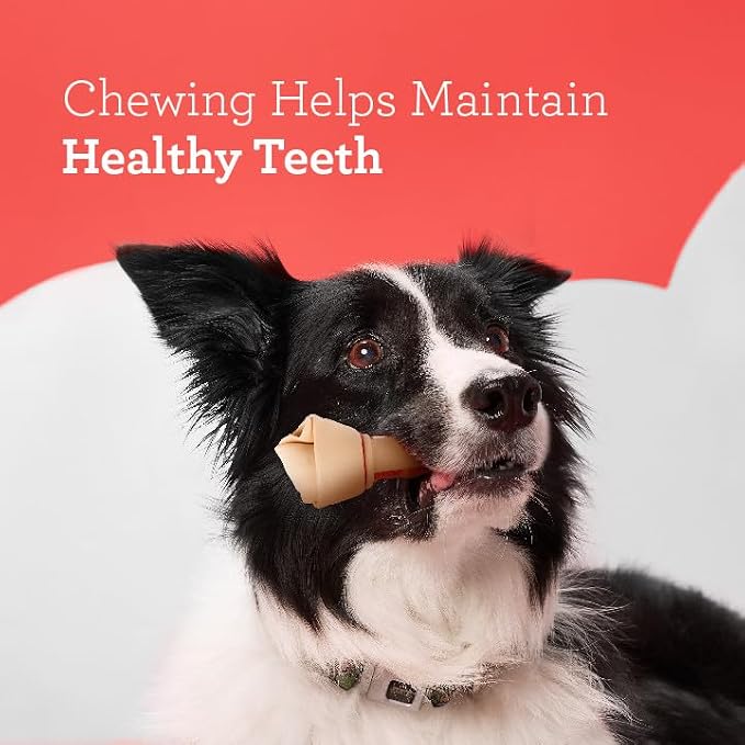 DreamBone Large Chews With Real Chicken, Rawhide-Free Chews For Dogs, Treat Your Dog to a Rawhide Free Chew, 3 Count
