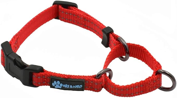 Max and Neo Nylon Martingale Collar - We Donate to a Dog Rescue for Every Collar Sold (X-Small, RED)