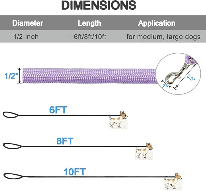 MayPaw 6/8 /10 FT Dog Leash, Classic Solid Colors, Strong Nylon Rope Dog Leash Reinforced with Leather Tailor Connection Heavy Duty Silver Clasp (Purple, 8ft*1/2")