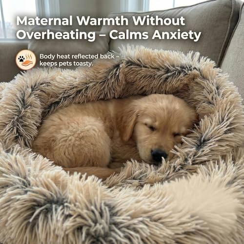 PJYuCien Dog Blanket for Dogs, Puppies and Pets, Lightweight & Portable Fluffy Fleece Throw, Super Soft Plush Cat Blanket for Couch/Car Seat/Furniture, Machine Washable, 30"x40", Beige