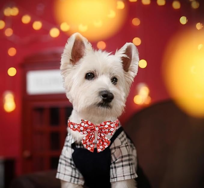 Unique Style Paws Christmas Day Dog Collar with Bowtie Christmas Man Elk Cotton Puppy Collars for Small Medium Large Dogs