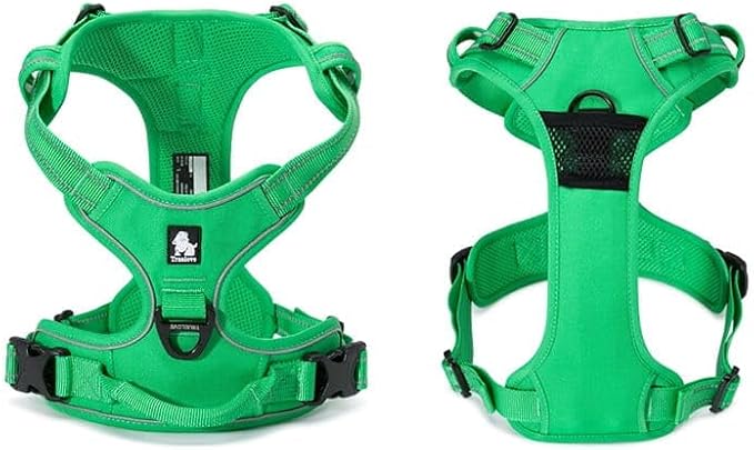 TRUE LOVE Adjustable No-Pull Dog Harness Reflective Pup Vest Harnesses Comfortable Control Brilliant Colors Truelove TLH5651(Grass Green,XS)