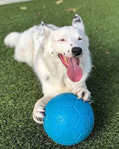 Jolly Pets Large Soccer Ball Floating-Bouncing Dog Toy, 8 inch Diameter, Ocean Blue (Pack of 12)