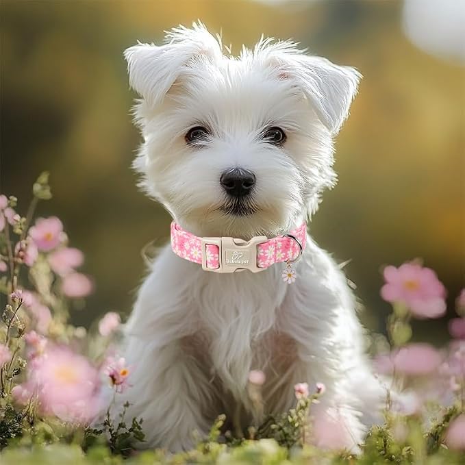 Daisy Dog Collar Pink Girl Dog Collars for Large Dogs - Lightweight Adjustable Spring/Summer Floral Female Dogs Everyday Collar with Safety Buckle L