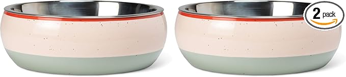 Fringe Studio Speckled Stripe Multi Medium Ceramic Pet Bowl W/Stainless Steel Bowl Insert (6.5" Diameter x 2.5" H, 26 fl.oz.), PetShop Collection (793MD001) (Pack of 2)
