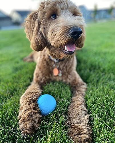 Chew King Fetch Balls Extremely Durable Natural Rubber Toy 4 inch, 2 Pack (CM-10031-CS01)