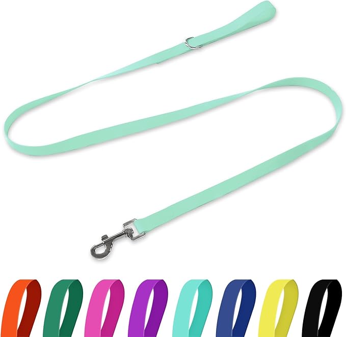 Waterproof Dog Leash, 5/6 FT Durable Odor-Proof Dog Leashes with Strong Metal Hooks Fits Small Medium or Large Dogs (Mint Green, 5FT - 3/4 inch Width)