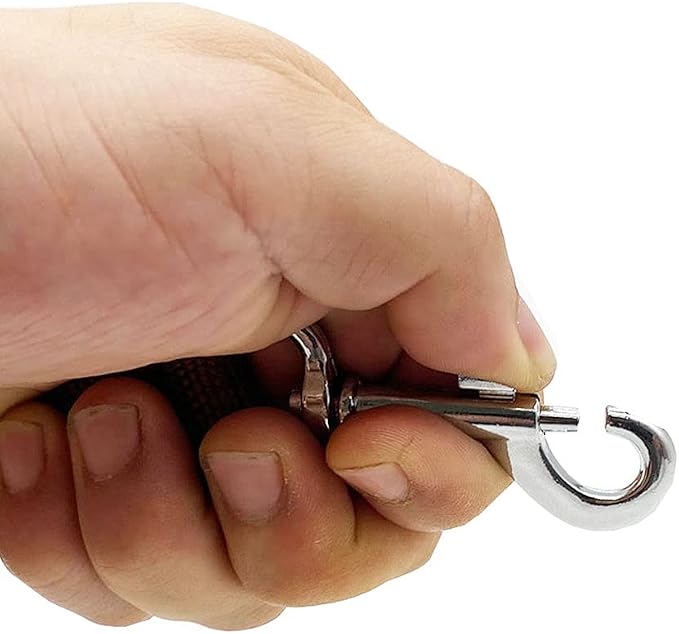 Nylon Dog Training Leash, Traction Rope, 4Ft /5 Foot /6 Feet Long, 5/8 inch 3/4 Inch 1 Inch Wide, for Small and Medium Dogs (5/8'' x 4 FT, Brown)
