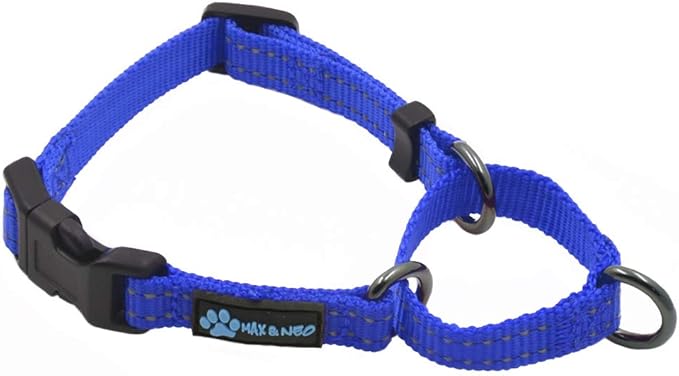 Max and Neo Nylon Martingale Collar - We Donate to a Dog Rescue for Every Collar Sold (X-Small, Blue)