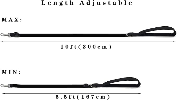 6FT/ 10FT Adjustable Dog Leash, Nylon Dog Leashes for Medium Large Dogs (10FT, Brown)