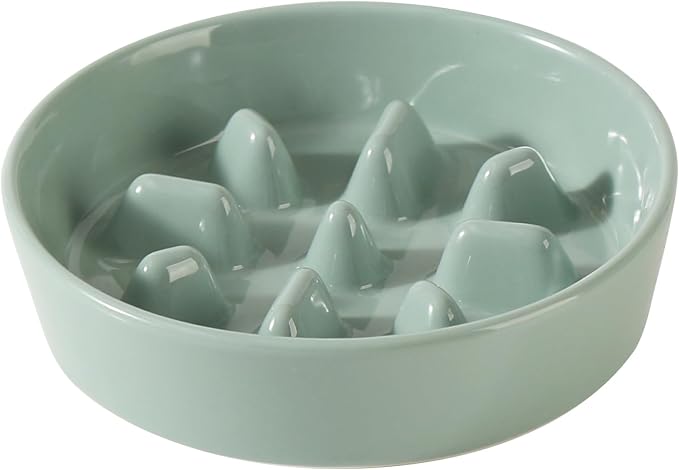 Havniva Ceramic Slow Feeder Dog Bowls, 1.2 Cups Dog Bowl Slow Feeding for Small and Medium Breed, 7.3inch Puzzle Dog Food Bowl Slow Feeder Non-Slip Anti-Gulping and Anti-Choking Reduces Bloating