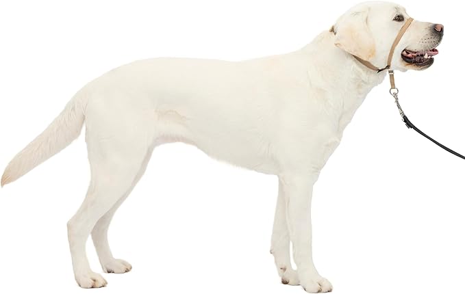 PetSafe Gentle Leader No-Pull Dog Headcollar - The Ultimate Solution to Pulling - Redirects Your Dog's Pulling for Easier Walks - Helps You Regain Control - Large, Fawn
