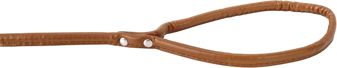 Brown Soft Leather Dog Leash for Small,Medium Dog Walking, Comfortable Leather Handle, 4 ft Brown