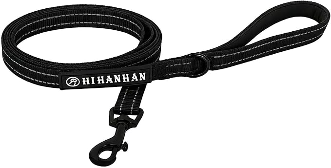 Reflective 6 FT Dog Leash, Premium Traditional Style Puppy Leash with Easy to Use Collar Hook for Small, Medium, and Large Breed Puppies (Black, 3/4 in x 6 ft)