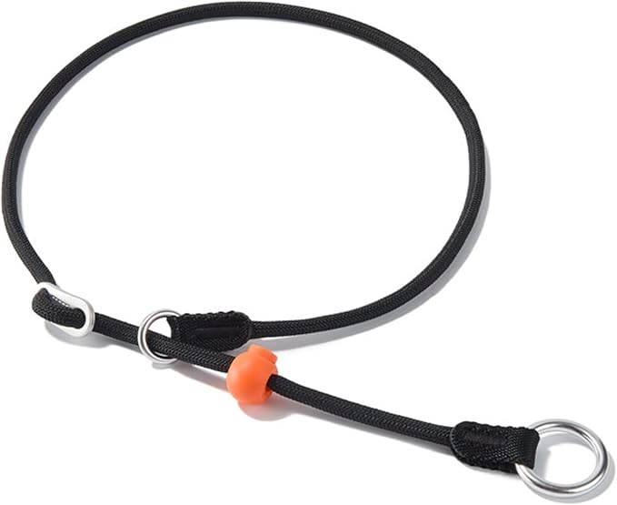 HowGo Slip Collar for Dogs,No Pull Adjustable Martingale Collar for Training, Nylon Rope,Dual Stopper and Durable Aluminum Hardware,Spring-Loaded,for Small Medium Large Dogs(Black)