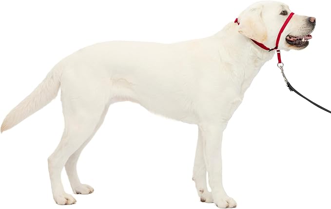PetSafe Gentle Leader No-Pull Dog Headcollar - The Ultimate Solution to Pulling - Redirects Your Dog's Pulling for Easier Walks - Helps You Regain Control - Large, Red