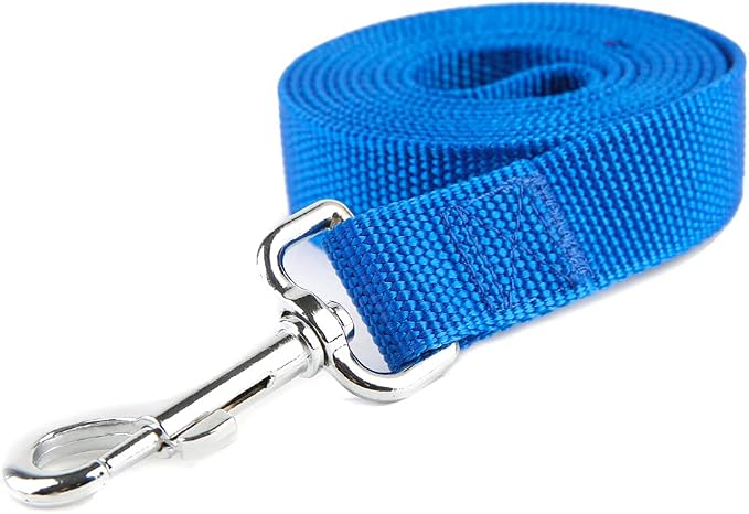 Nylon Dog Training Leash, Traction Rope, 4/5/6 Feet Long, 3/4 Inch 1 Inch Wide, for Small and Medium Dogs (1'' x 5 FT, Blue)