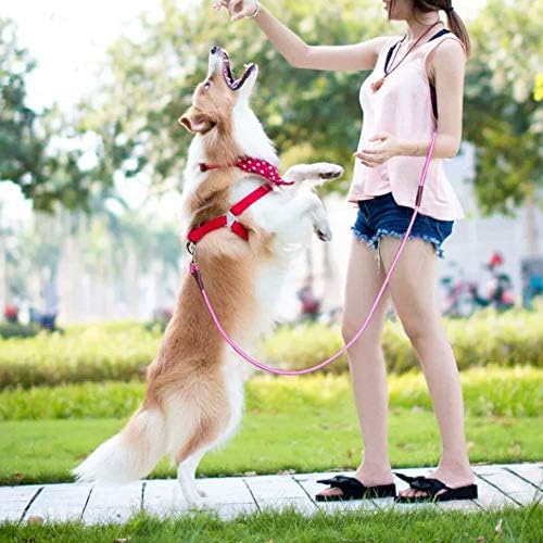 MayPaw 4/6 /8/10 FT Dog Leash, Classic Solid Colors, Strong Nylon Rope Dog Leash Reinforced with Leather Tailor Connection Heavy Duty Silver Clasp (Pink, 10ft*1/2")