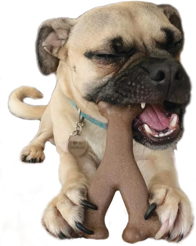 SPOT Bam-Bones Wishbone Dog Chew Toy, Bamboo Fiber Blend, Non-Splintering Durable Chew for Light to Moderate Chewers, Adult Dogs & Teething Puppies 10–30 lbs, Chicken Flavor, 5.25 in