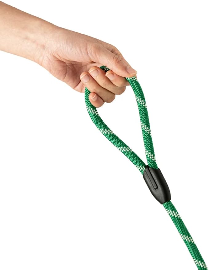 WePet Dog Training Slip Leash, No Pull, Durable Reflective Lead, Puppy Heavy Duty Loop Rope, Comfortable Handle, 6 ft, 1/2 inch, diam. Forest/White