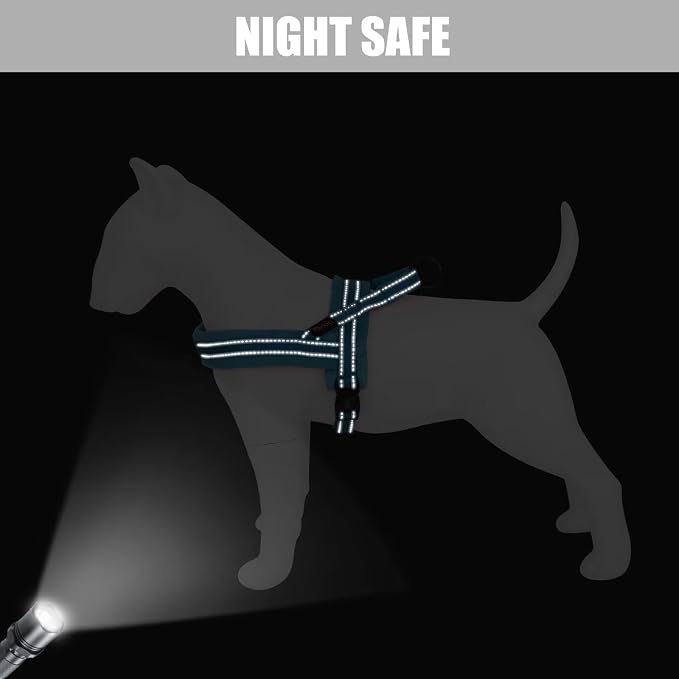 Didog Soft Flannel Padded Dog Vest Harness, No Pull/Quick Fit Reflective Dog Strap Harness, Easy for Training Walking (S:Chest 18-22", Blue)
