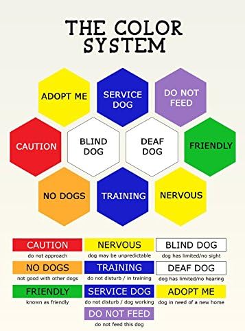 Dexil Training (in Training/Do Not Disturb) Blue Warning Dog Colour Coded Padded 1.8m 6ft Lead Leash