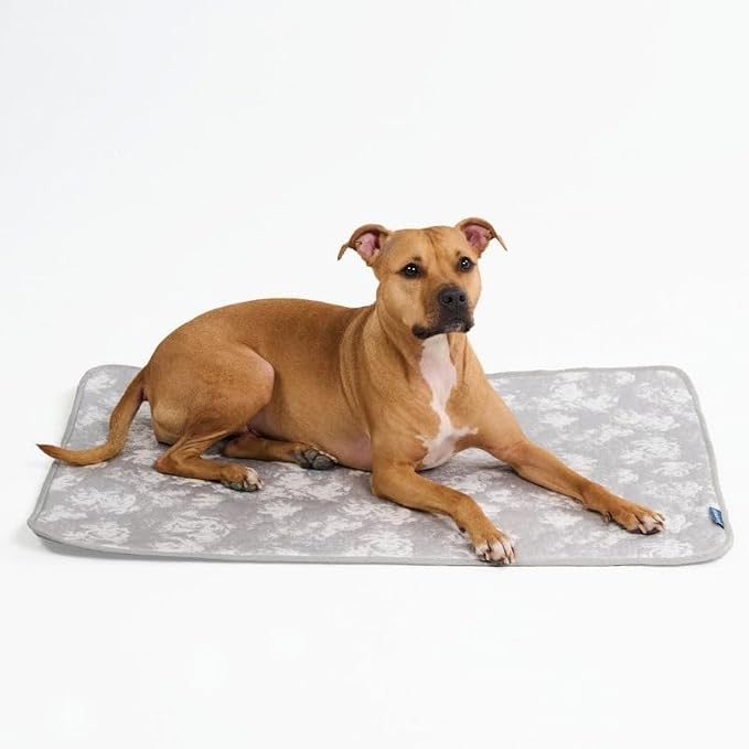 Spark Paws Cooling Mat for Dogs - Self Cooling Dog Mat & Pet Cooling Pad for Large, Medium & Small Dogs - Non-Toxic, Non-Gel Washable Cooling Bed - Cloud Grey - Size L