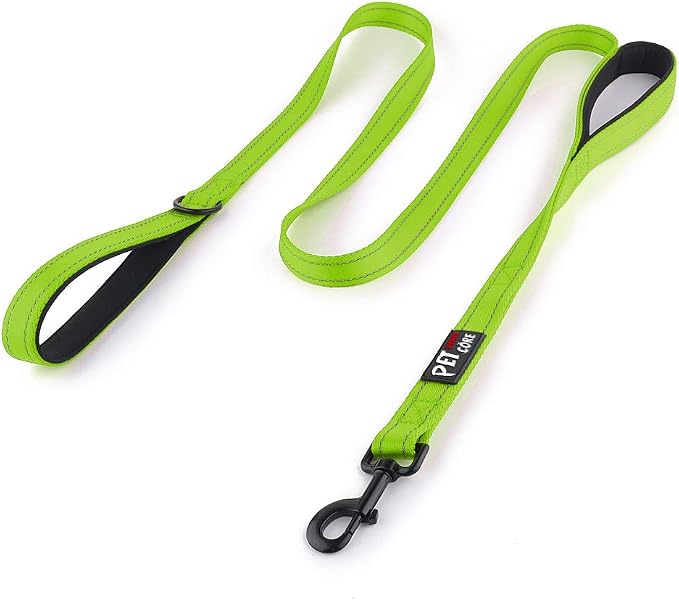 Plutus Pet Double Handle Dog Leash 4ft, Heavy Duty, Reflective Dual Handle Dog Leash for Safety Training, for Medium Large Dogs,2 Handle Leads(Green)