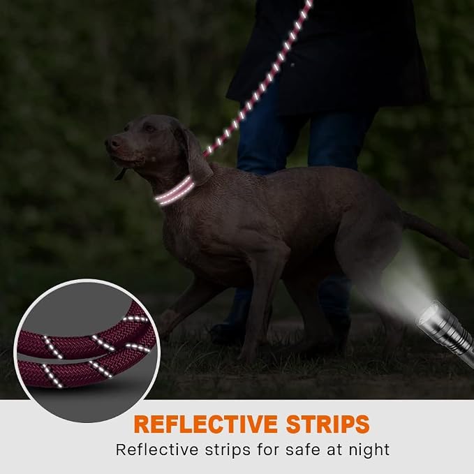 Taglory Rope Dog Leash 6 FT with Comfortable Padded Handle, Highly Reflective Threads Leash and Anti-Tangle Clip for Walking Medium Large Dogs, 1/2 inch, Hotpink