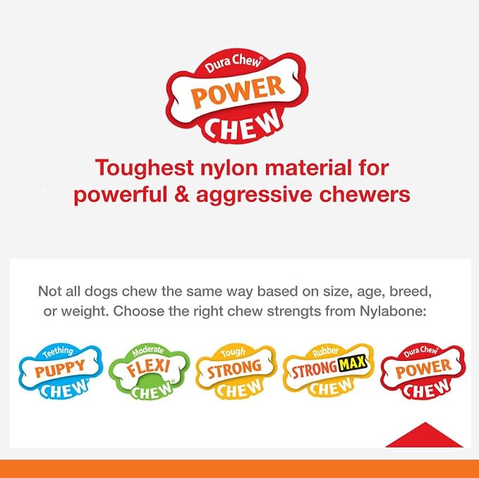 Nylabone Power Chew Dental Dinosaur - Dental Dog Toy for Aggressive Chewers - Large Dog Chew Toys for Teeth Cleaning - Durable Dog Toy for Large Breeds - Chicken Flavor, Large, Up to 50 Ibs. (1 Count)