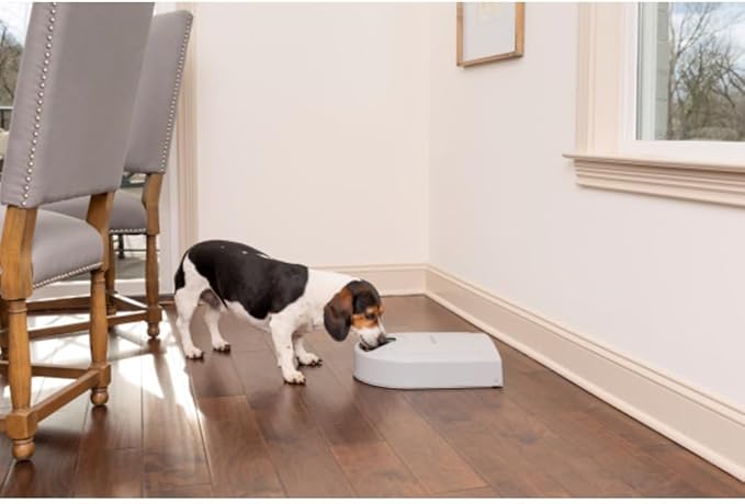 PetSafe Automatic Dog Feeder, 5 Meals, 40 oz Capacity, Plastic, for Dry Food, Multiple Pets