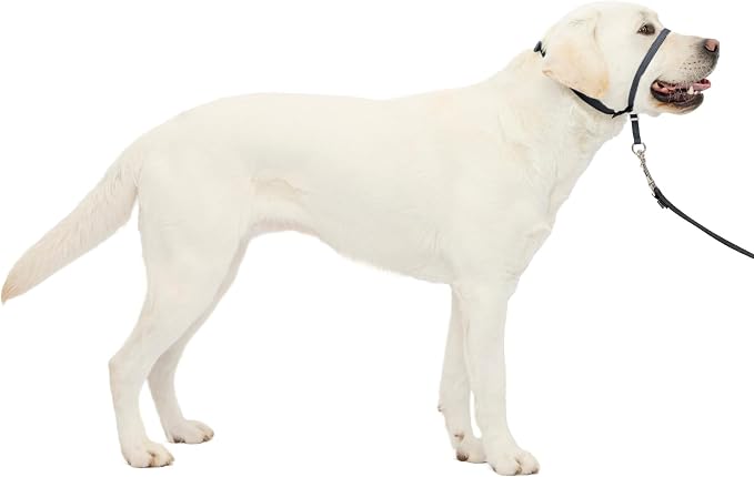 PetSafe Gentle Leader No-Pull Dog Headcollar - The Ultimate Solution to Pulling - Redirects Your Dog's Pulling for Easier Walks - Helps You Regain Control - Large, Charcoal